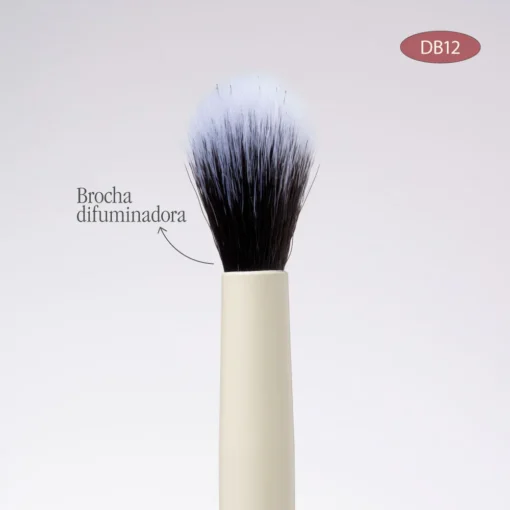 Brocha Duo Plana Crema Y Difuminadora - Imagen 3
