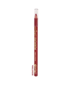 lapiz de labios lipliner purpure